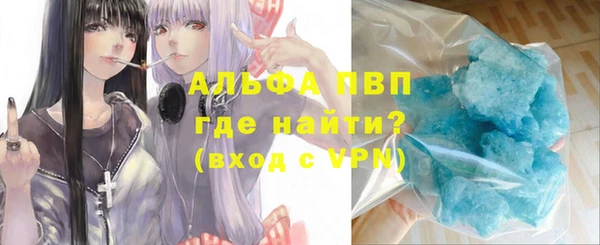 крисы Надым