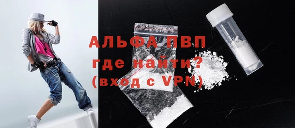 крисы Надым