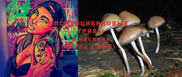 крисы Надым
