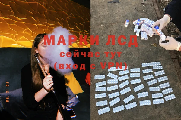 крисы Надым