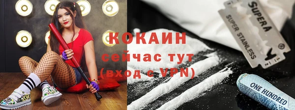 крисы Надым
