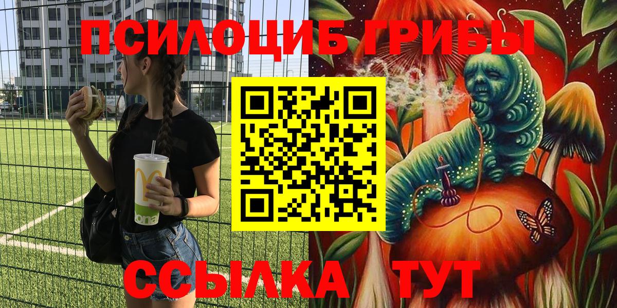 Стрежевой  Псилоцибиновые грибы Psilocybe  Вход с VPN 