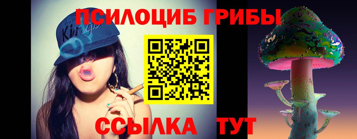 Псилоцибиновые грибы ЛСД Стрежевой