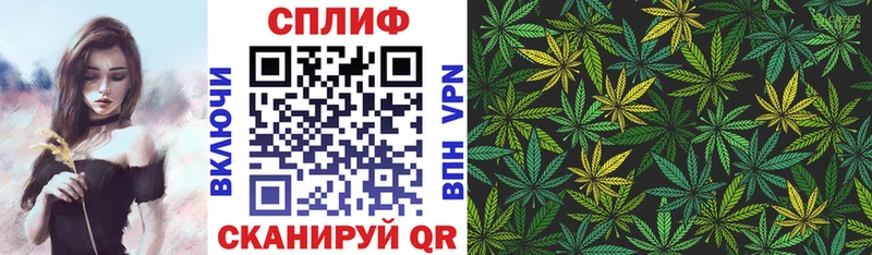 Конопля планчик Стрежевой